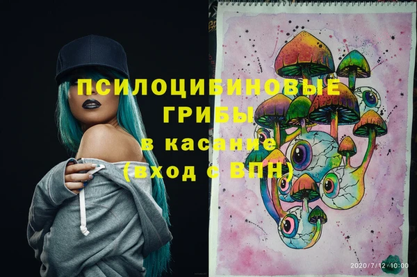 винт Алзамай