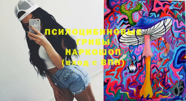 винт Алзамай