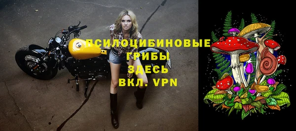 mdpv Протвино