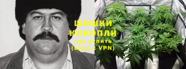винт Алзамай