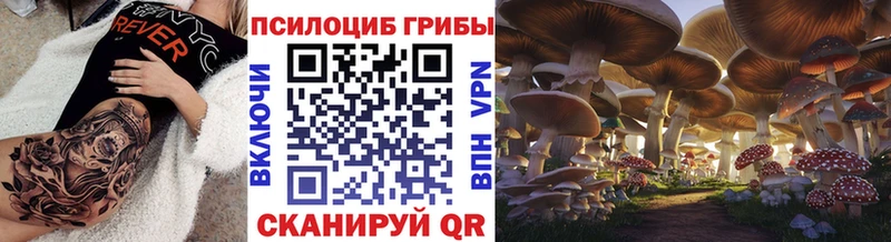 купить наркотик  Ивдель  Галлюциногенные грибы прущие грибы 